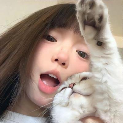 极地大冒险